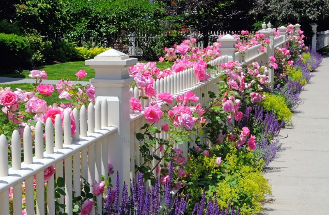 Sân vườn đẹp đơn giản với hàng rào thiết kế đồng đều về độ cao 